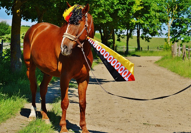家馬德里主 家馬德里主