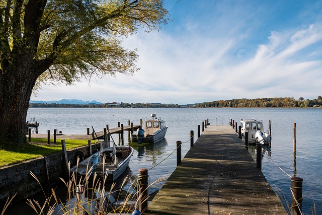 在竞技体育 在竞技体育