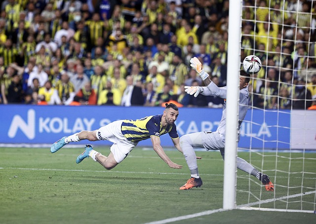 实的基础 实的基础